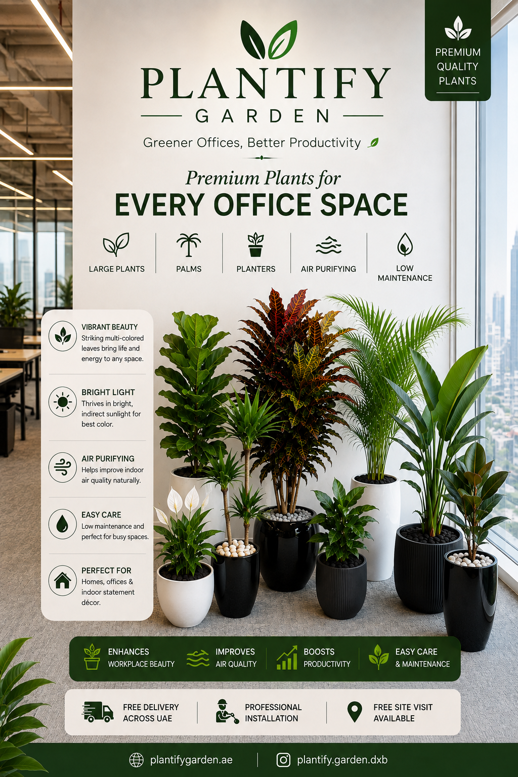 Office plants