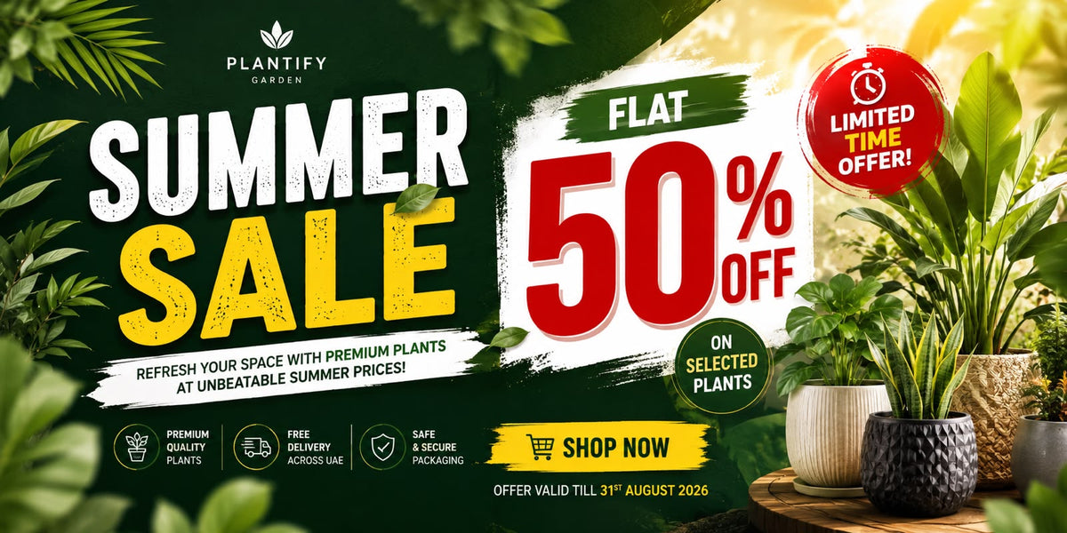 Summer Sale | 50% OFF