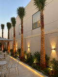 Palms installation