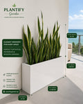Artificial Plant Bundle Set | Premium Indoor Decorative Plants for Home & Office