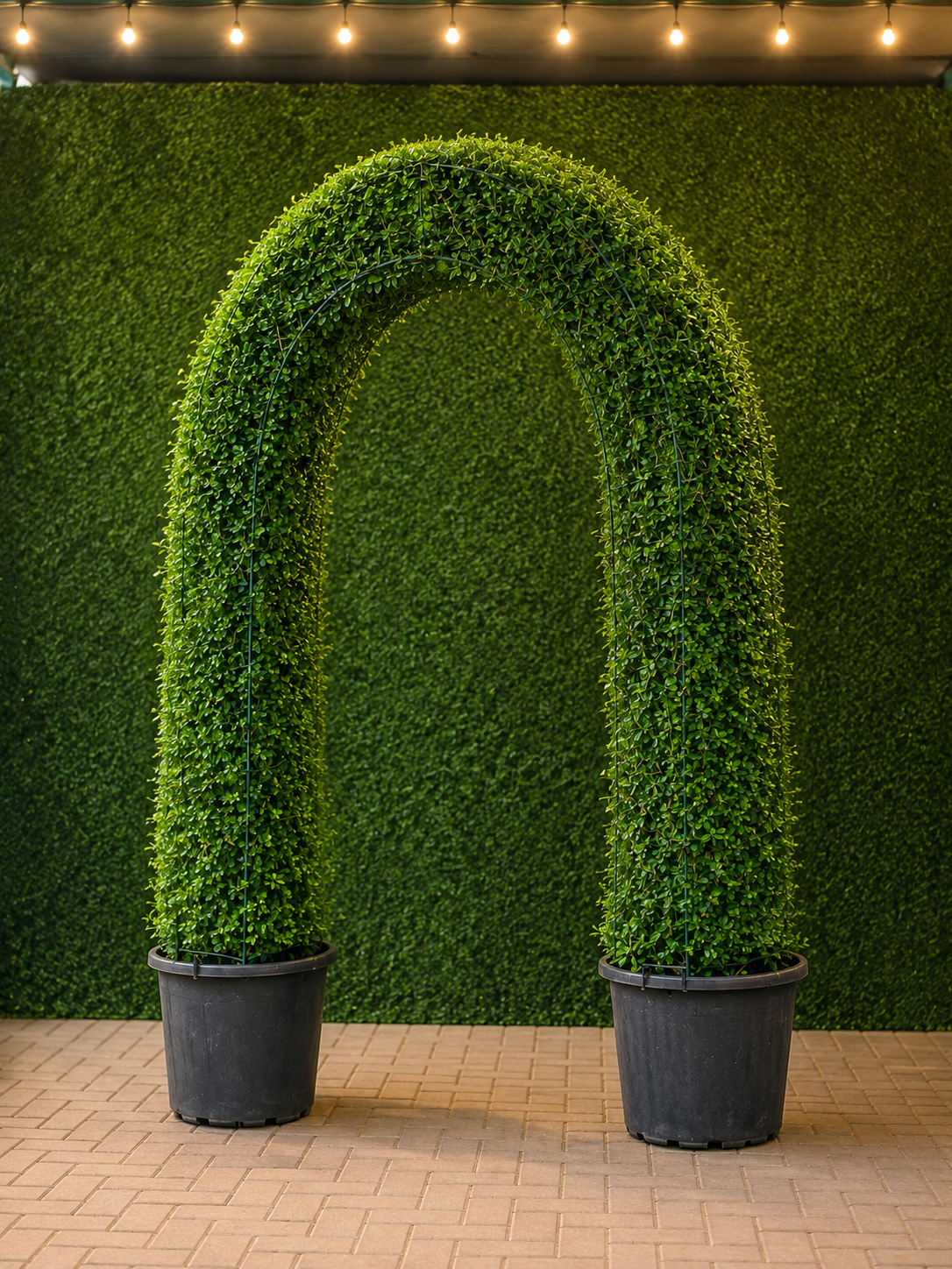 Green Arch Topiary Plant | Plantify Garden Dubai