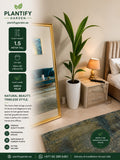 A large indoor mirror displaying an Alocasia Palm plant in a modern bedroom setting, with product information text and icons overlaid on the left side. The room includes a beige bed, wooden nightstand, lamp, green rug, and the mirror frame is gold.