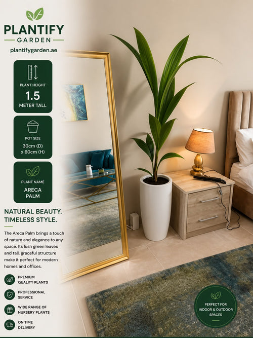 A large indoor mirror displaying an Alocasia Palm plant in a modern bedroom setting, with product information text and icons overlaid on the left side. The room includes a beige bed, wooden nightstand, lamp, green rug, and the mirror frame is gold.