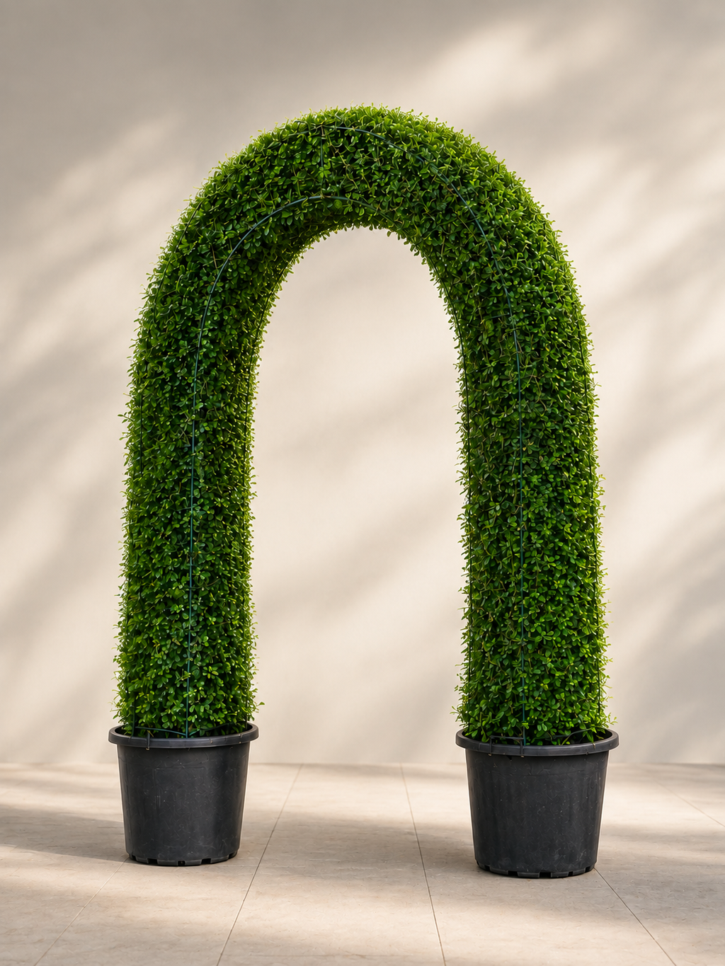 Green Arch Topiary Plant | Plantify Garden Dubai