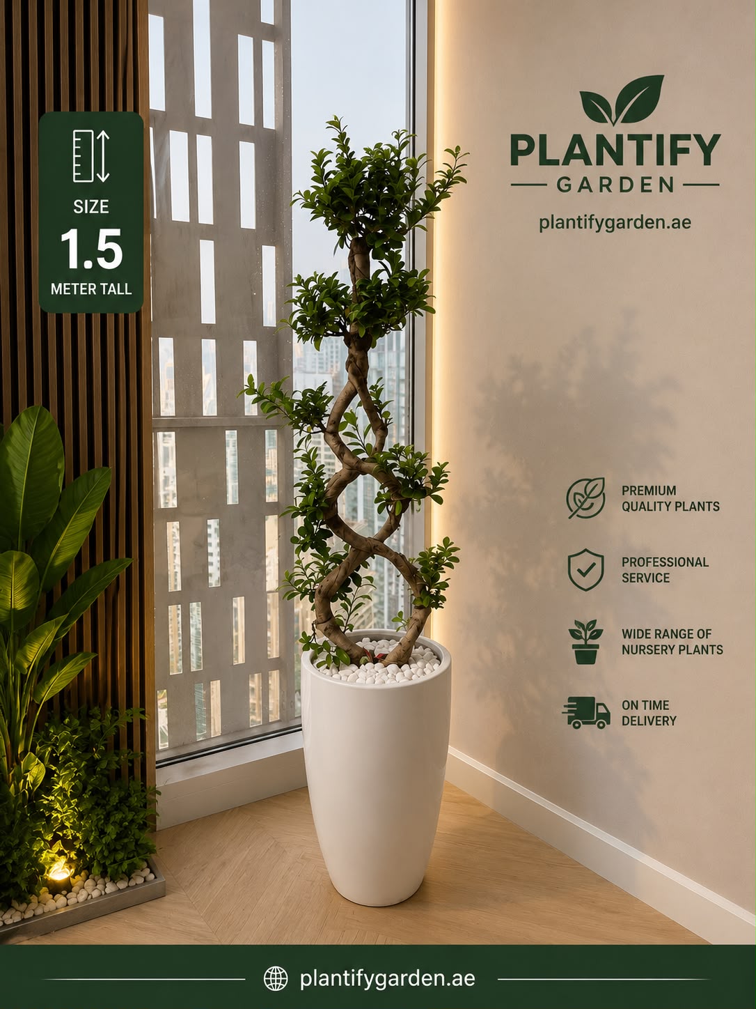 A 1.5-meter tall sculptural bonsai-style tree with twisted branches in a large white cylindrical planter, placed indoors beside a window.
