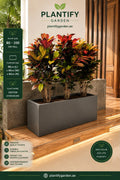 A rectangular dark gray planter box containing three potted red and green foliage plants, shown in a staged indoor setting with wooden steps and a wall. The image includes Plantify Garden branding, size callouts, and product information on the left and bottom.