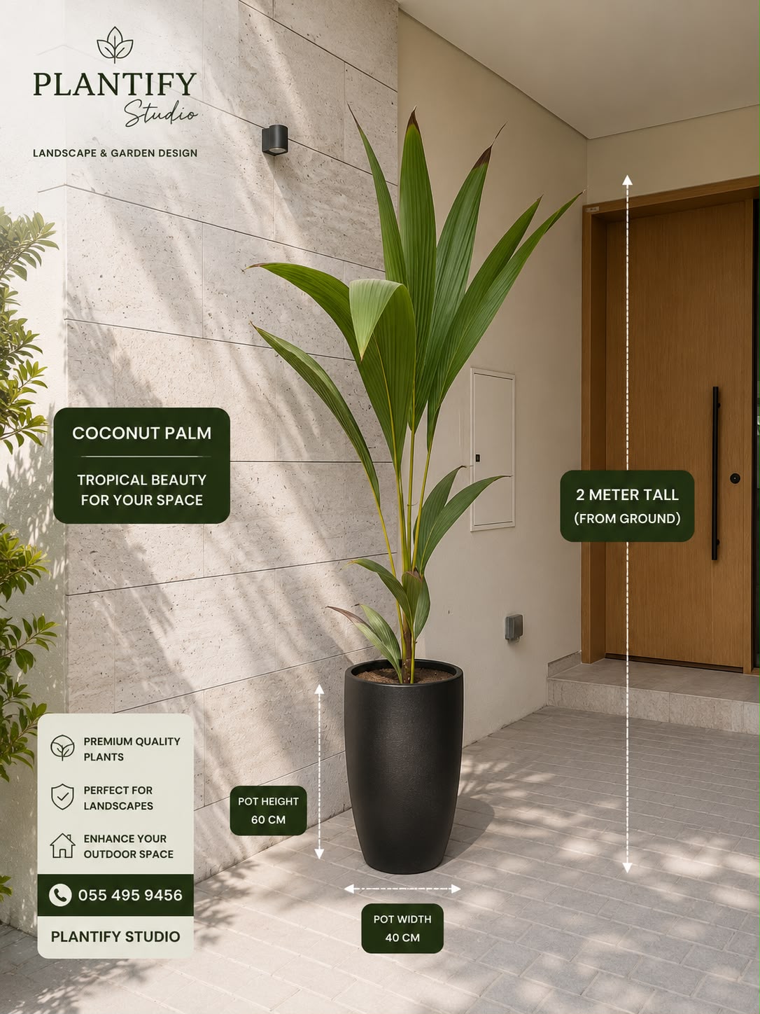 A coconut palm plant in a tall black planter displayed in a modern entryway, with measurement callouts showing the plant is 2 meters tall and the pot is 40 cm wide. Brand overlays for Plantify Studio are present.