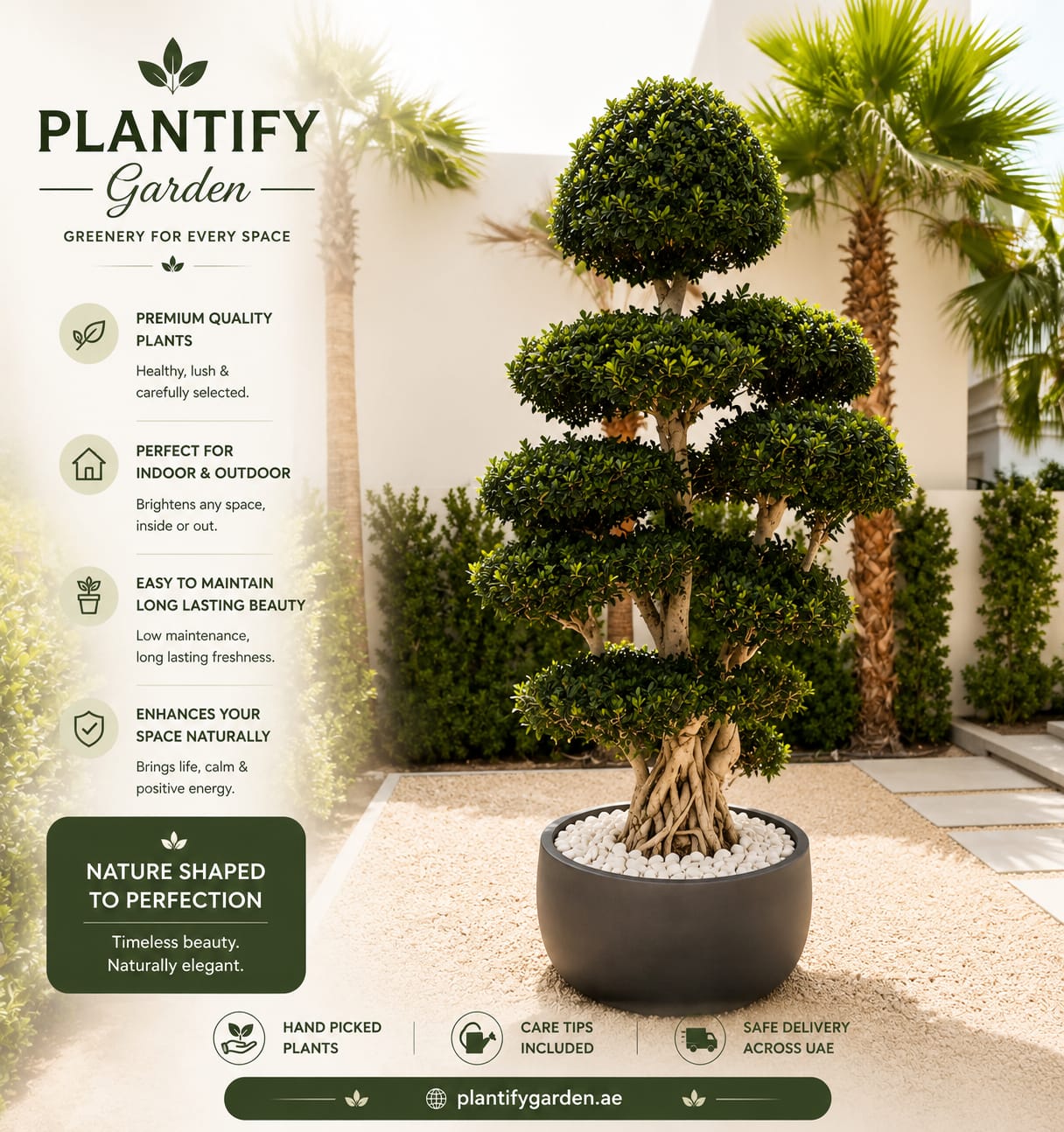 A topiary tree with layered, rounded green foliage in a dark round planter, shown in a landscaped garden setting with palm trees and a stone path. The left side includes promotional text for Plantify Garden, including benefits and care tips.