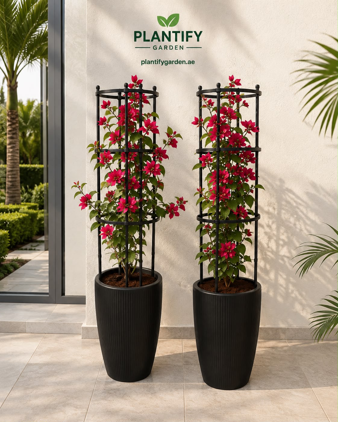 Two black ribbed planter pots with tall black trellis supports holding bright pink bougainvillea flowers, set against a beige stucco wall with the Plantify Garden logo above.