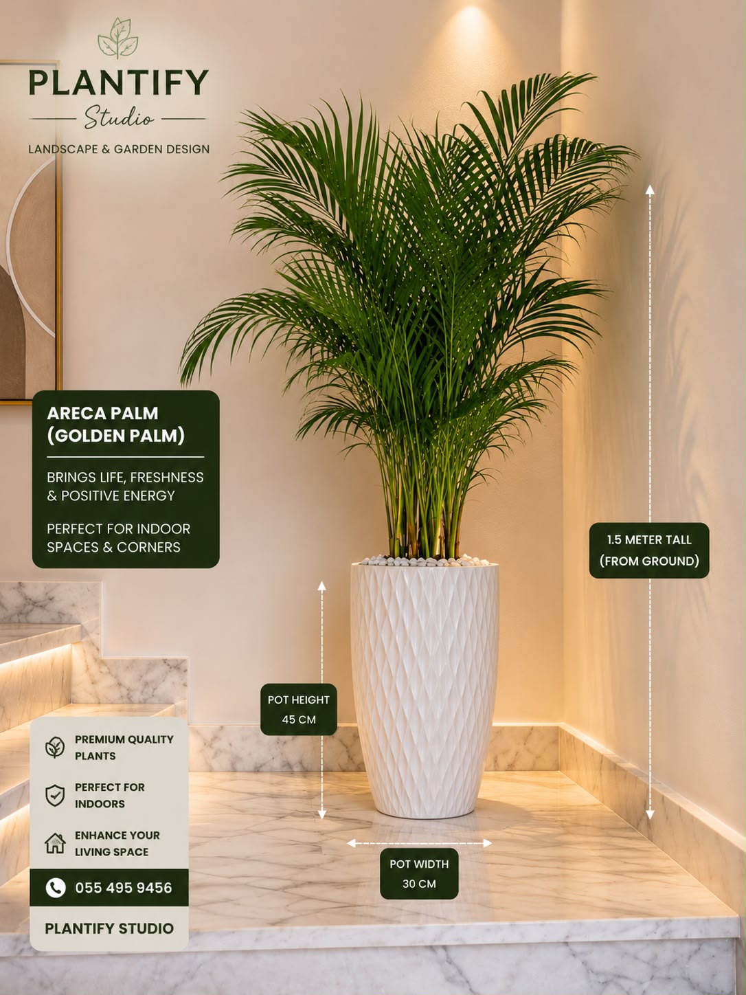 A tall Areca Palm (Golden Palm) plant in a textured white ceramic pot, displayed in a modern interior setting with dimension callouts showing its height of 1.5 meters and pot dimensions of 45 cm by 30 cm.