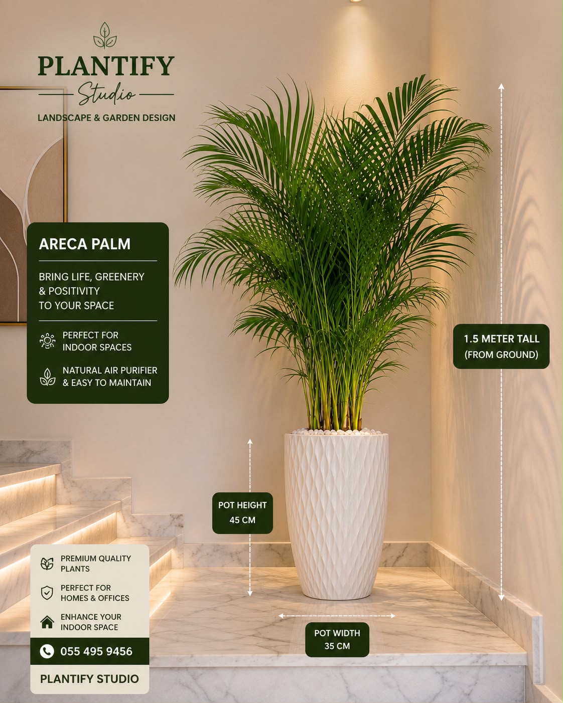 An Areca Palm indoor plant in a white textured cylindrical pot, displayed in a modern interior setting with measurement callouts and promotional text overlays from Plantify Studio.