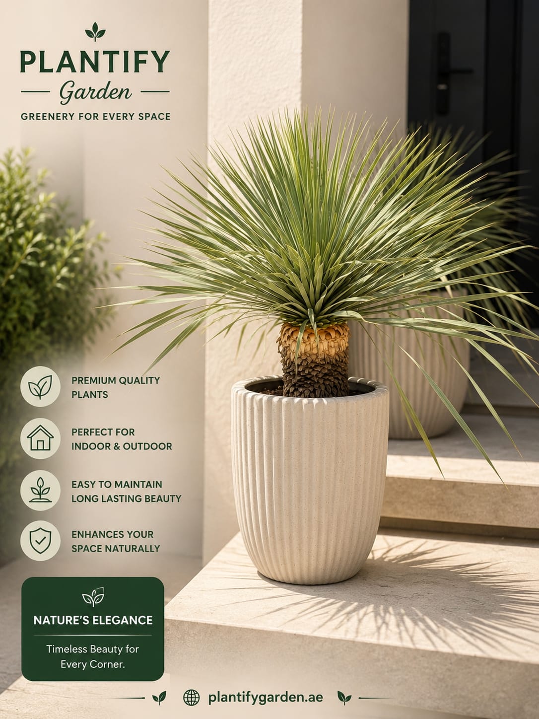 A potted yucca plant displayed on outdoor stone steps beside a building wall, with the brand name Plantify Garden and marketing text overlaid on the left side.