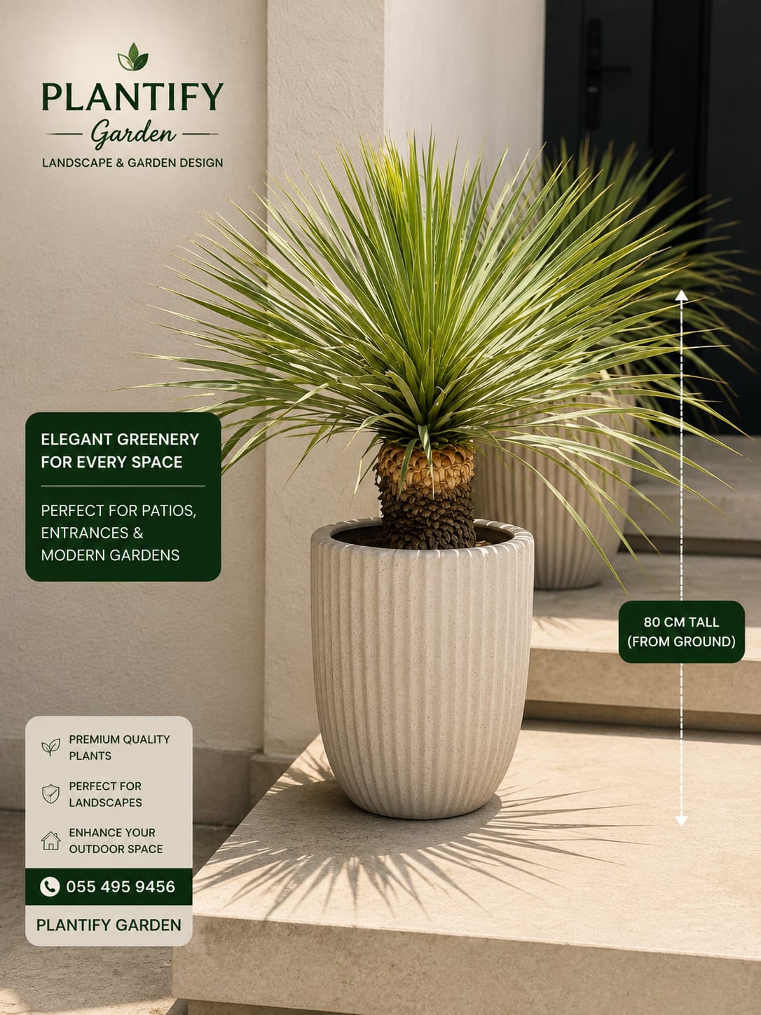 A potted yucca plant with tall green spiky leaves in a ribbed off-white ceramic pot, shown on a beige stone ledge. The image includes branding for Plantify Garden and informational text overlays indicating the plant is 60 cm tall from the ground.