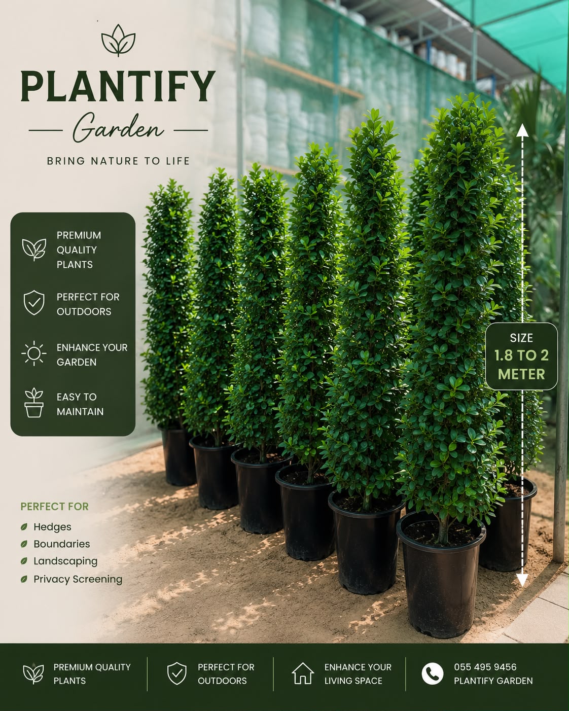 A promotional graphic for Plantify Garden showing a row of tall, dense, conical potted topiary-style plants in black pots on a patio. The image includes marketing text, icons, and a size callout indicating 1.