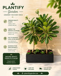 A promotional product graphic for Plantify Garden showing a potted leafy green plant in a rectangular black planter box, with marketing text on a light beige background.