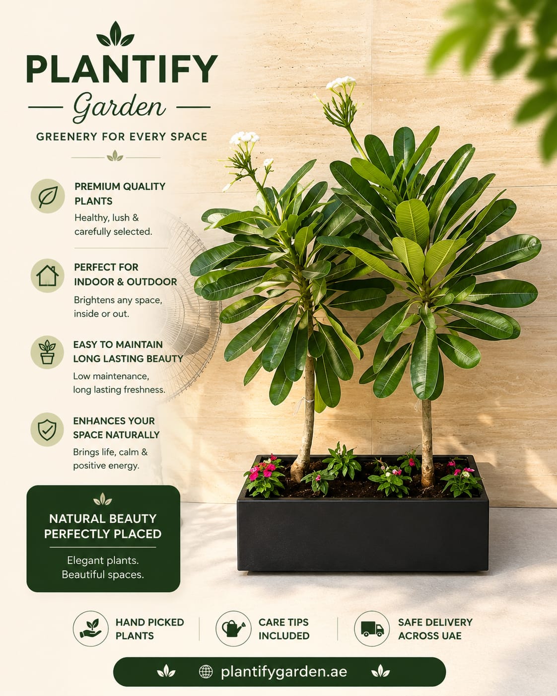 A promotional product graphic for Plantify Garden showing a potted leafy green plant in a rectangular black planter box, with marketing text on a light beige background.