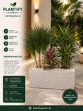 Premium Indoor Plant Arrangement | Modern Planter UAE