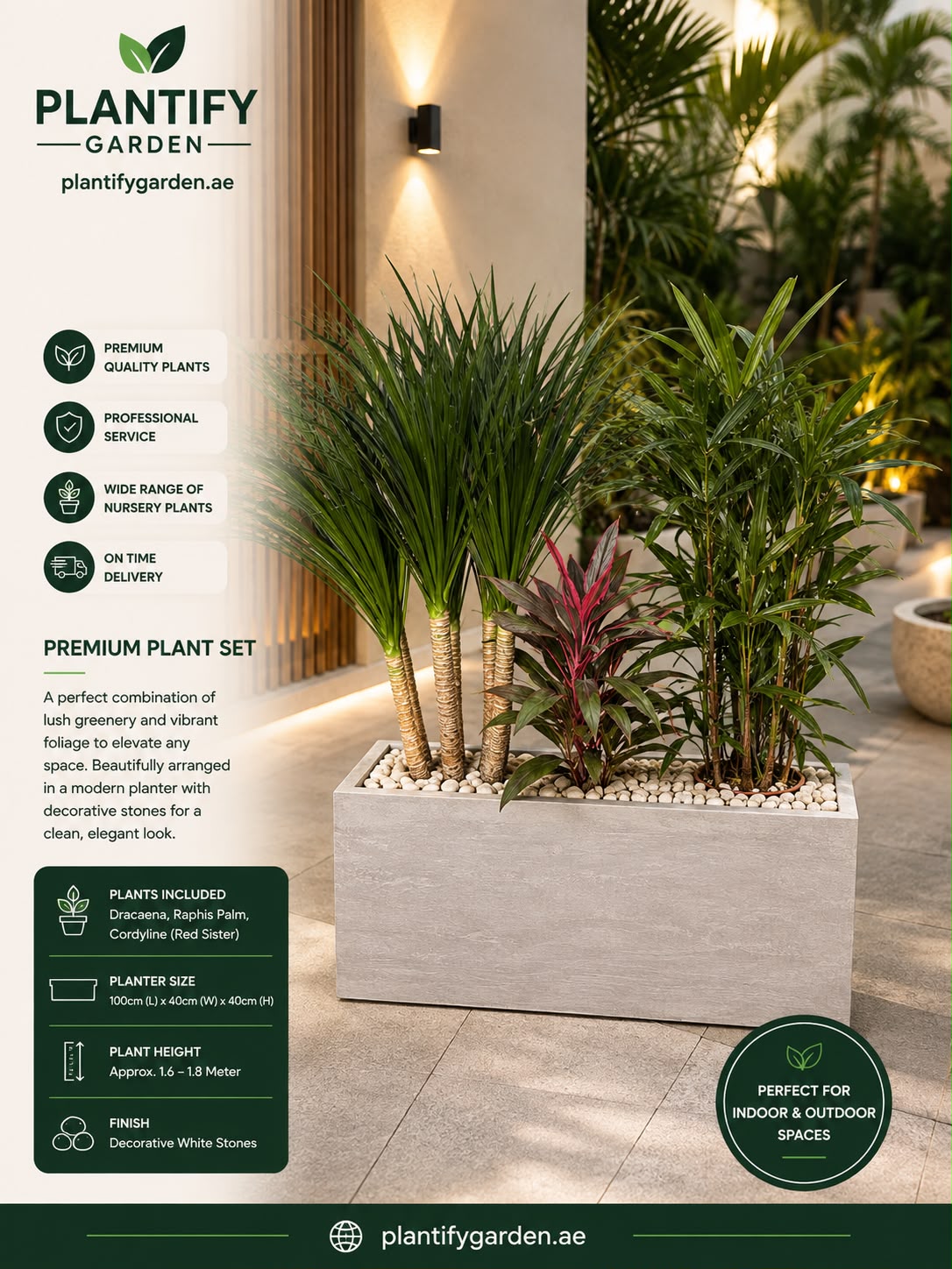 Premium Indoor Plant Arrangement | Modern Planter UAE