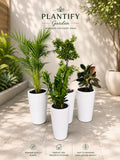 Four white cylindrical planters holding green potted plants arranged on a light stone patio, with the text 'PLANTIFY Garden' at the top and feature icons and text at the bottom.