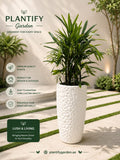 A tall green plant in a textured white cylindrical planter displayed on a patio with promotional text for Plantify Garden.