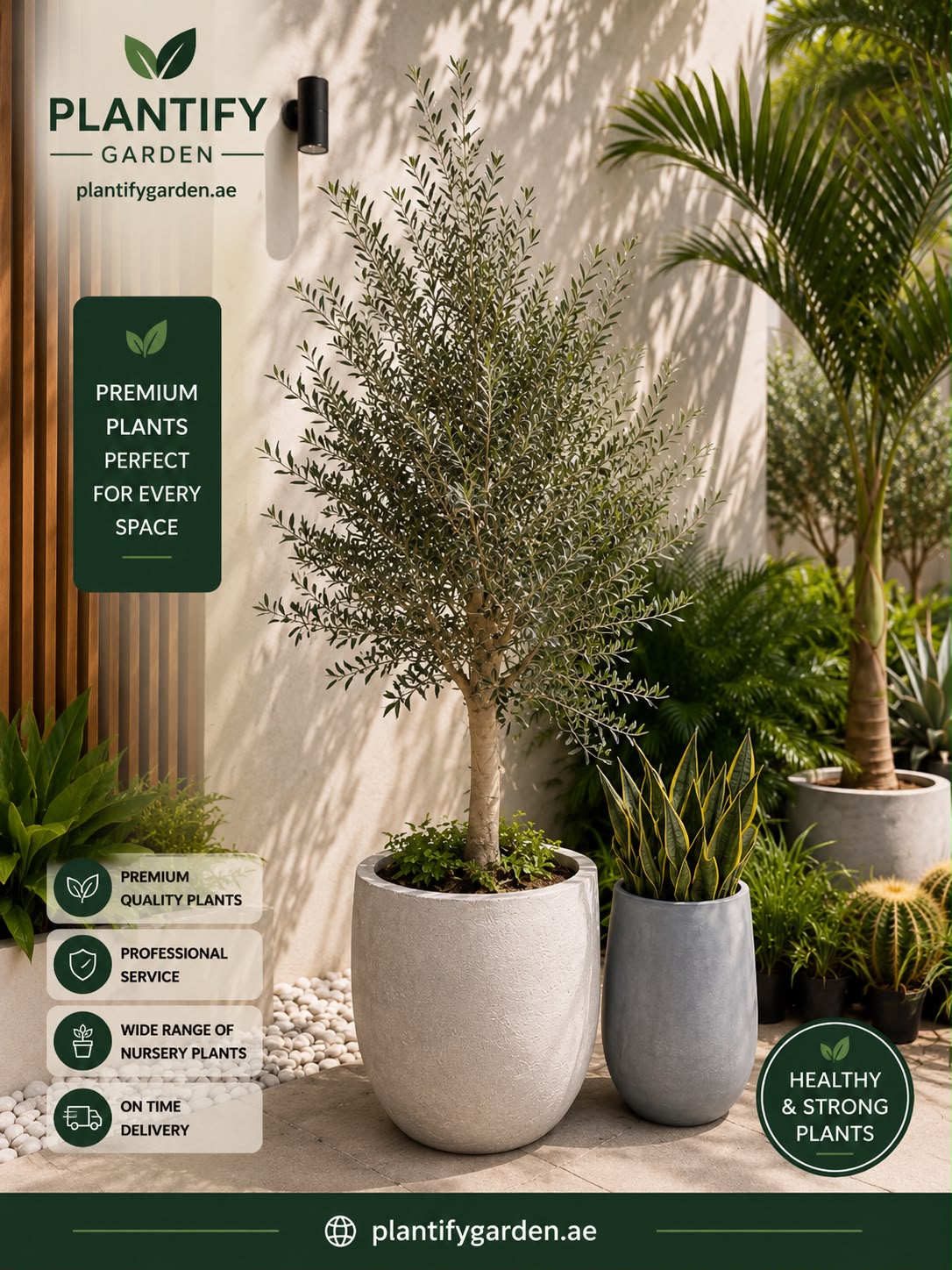 Promotional banner for Plantify Garden featuring potted plants in an outdoor patio setting. The central product is a small olive tree in a large light gray concrete pot, with other green plants and cacti around it.