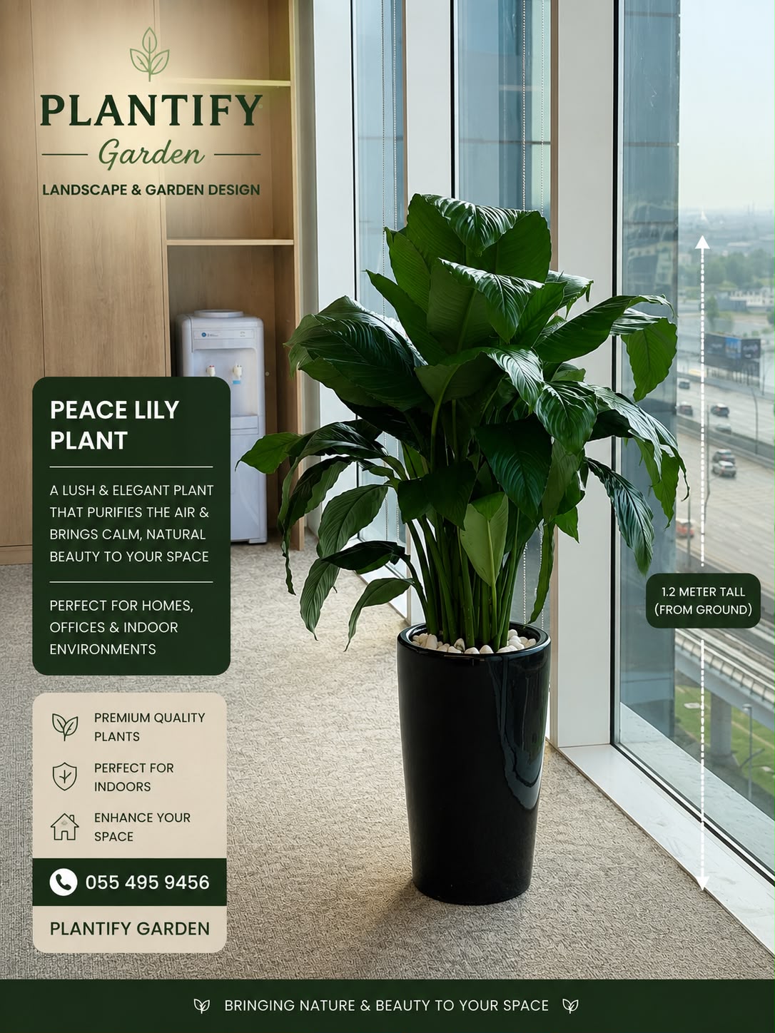 A large Peace Lily plant in a tall black planter placed beside a large window in a modern office or interior space. Text overlays on the left describe the plant and the brand Plantify Garden.