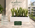 A white rectangular planter holding several tall snake plants, displayed on a sunlit balcony with the brand name Plantify Garden at the top and feature callouts on the left.