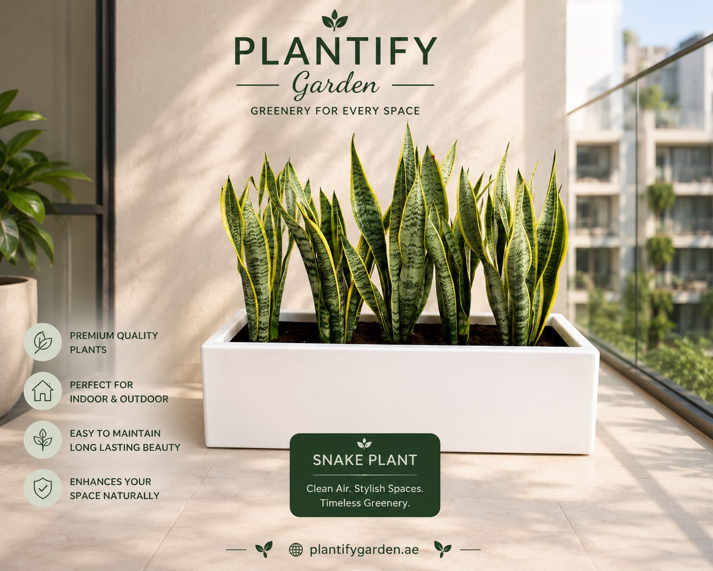 A white rectangular planter holding several tall snake plants, displayed on a sunlit balcony with the brand name Plantify Garden at the top and feature callouts on the left.