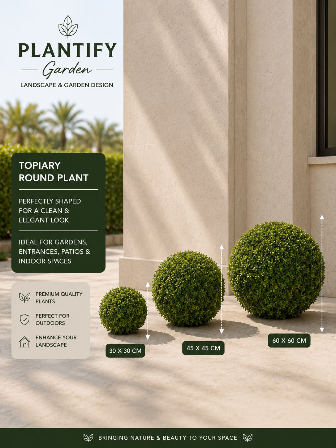 Promotional graphic for a topiary round plant by Plantify Garden, showing three green spherical trimmed plants of increasing size on a sunlit patio with height and width measurements labeled 30 x 30 cm, 45 x 45 cm, and 60 x 60 cm.