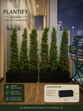 A promotional graphic for Plantify Garden showing two tall, narrow artificial trees in black rectangular planters on a balcony at night. The image includes text overlays detailing the plants' approximate 2-meter height, the planter box size of 100 cm by 40 cm, and product benefits.