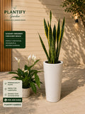 A tall snake plant in a tall white cylindrical planter and a smaller white patterned planter with white calla lilies, set against a modern beige wooden wall with promotional text overlays for Plantify Garden.