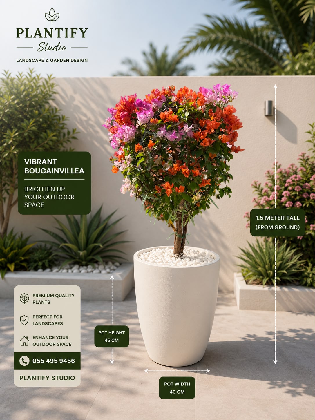 A potted Bougainvillea tree with vibrant orange, pink, and purple flowers in a large white cylindrical planter, shown on a patio with measurement callouts and Plantify Studio branding.