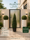 Promotional graphic for Plantify Garden showing a modern black metal gate with a central potted topiary, flanked by two large white planters with trimmed green bushes. Text at the top reads 'Plantify Garden' and the bottom left lists benefits, with a green badge on the right.