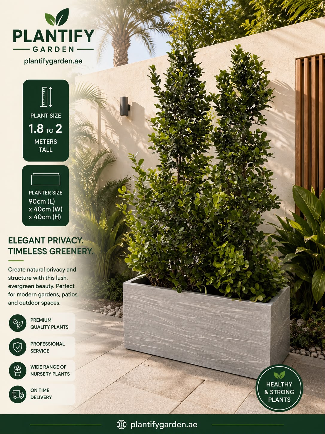 Plantify Garden privacy bush in a rectangular concrete planter, shown in an outdoor patio setting with architectural walls and palm trees. The image includes product specifications, benefits, and branding on a dark green banner.